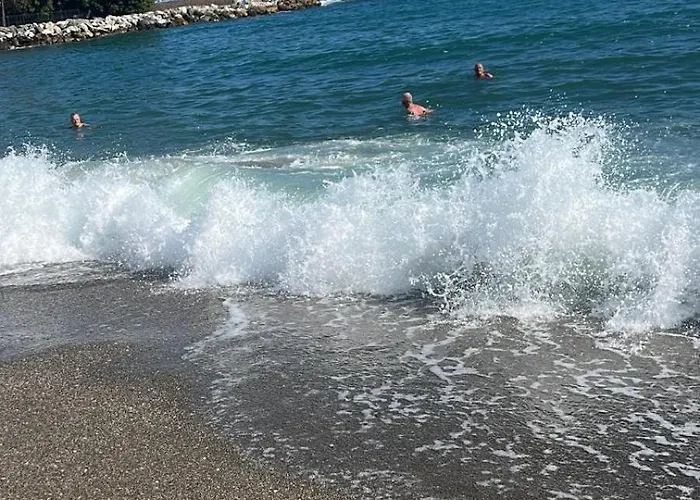 Apartamento Capitán - 2 Centro De Fuengirola